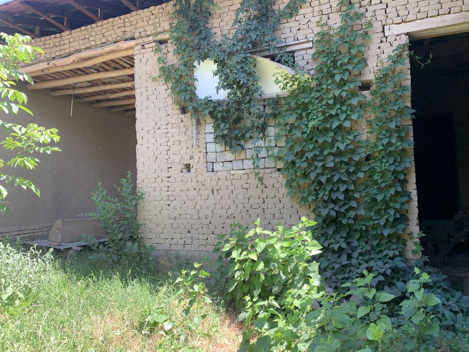 Участка 6 сотихли срочни