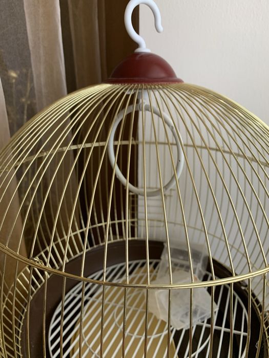 Клетка попугая.