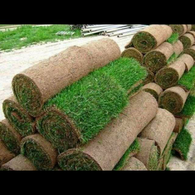 Сантехник/Электрик Газон Ландшафт Полив