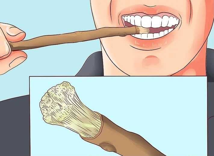Miswak - periuta de dinti naturala