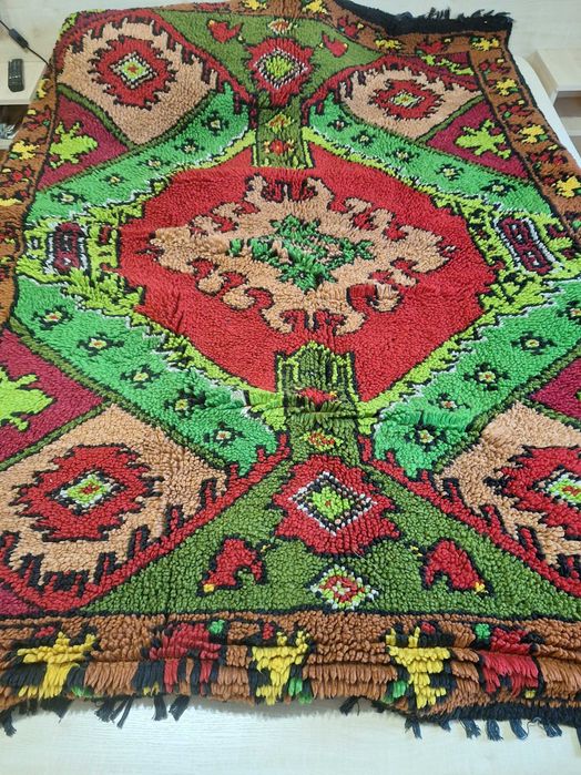 красив котелски китеник