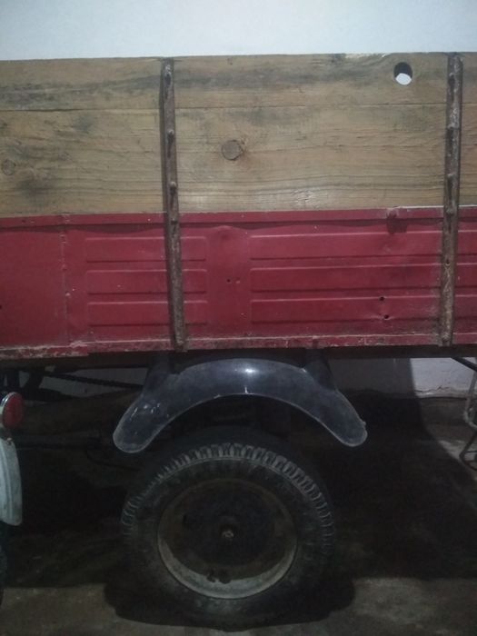 Муравей соз холатда