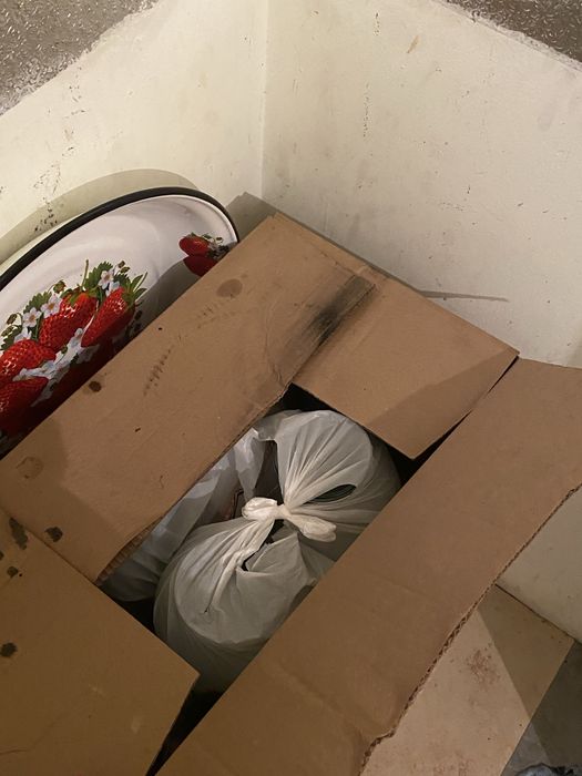 одам даром банки