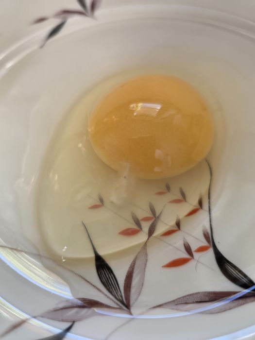 Ouă curcă pentru incubat