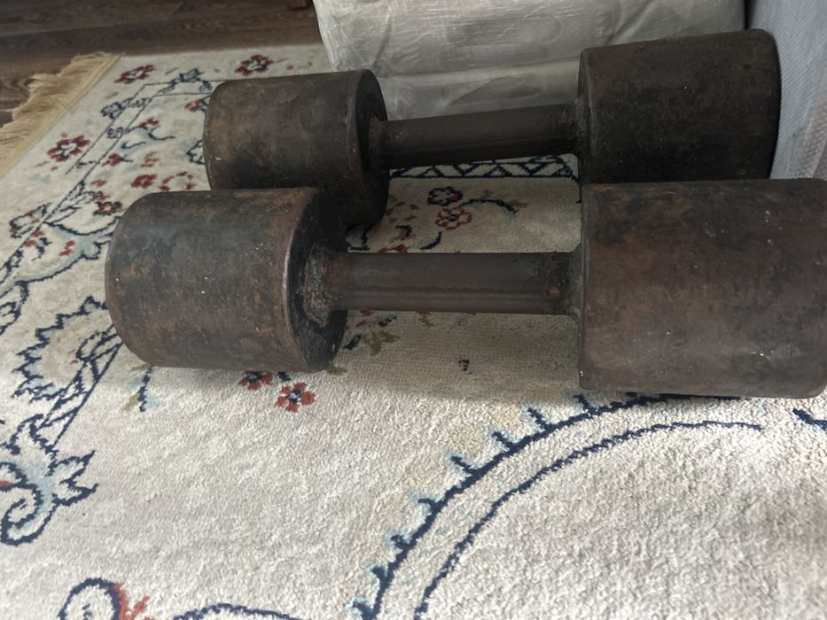 Гантели по 12 кг продам срочно