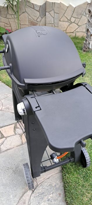 Газово Барбекю Weber Q3000