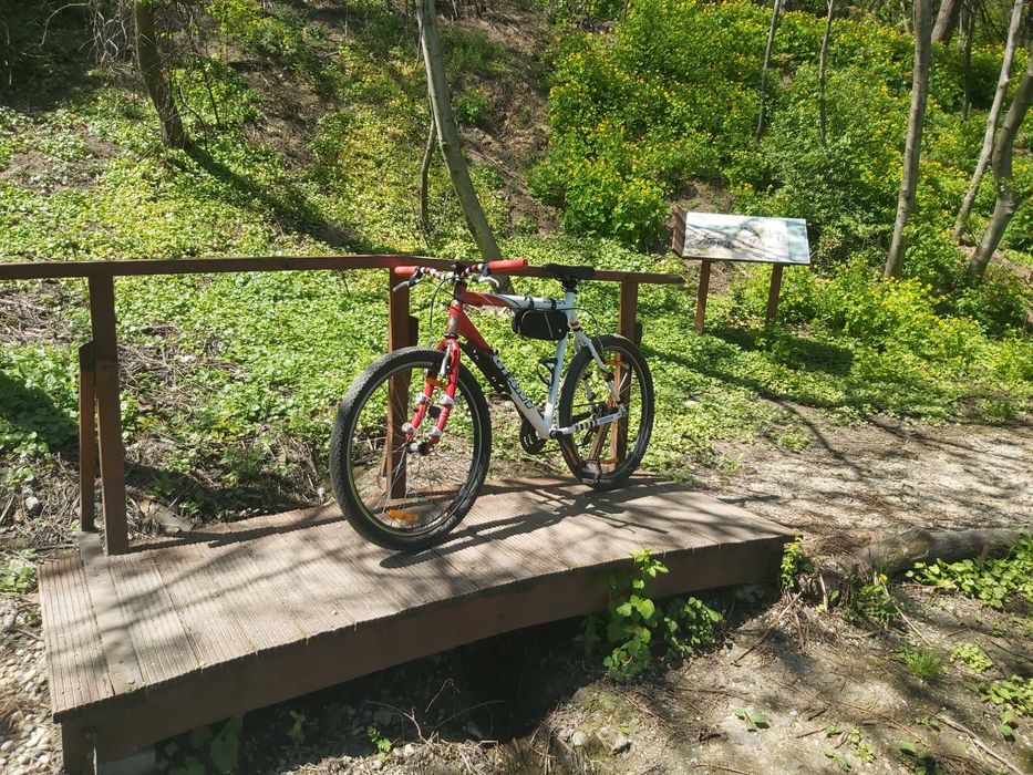 Top clasic Giant bike cadru aluminiu / raport single speed