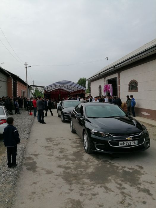 Туй ва маросимлар учун малибу 2 хизматингизда