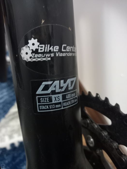 Semicursiera Focus Cayo