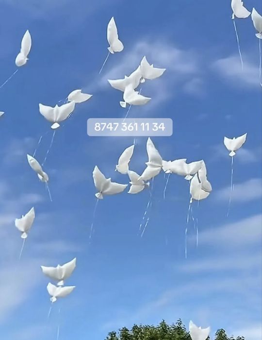 воздушный  көгершін