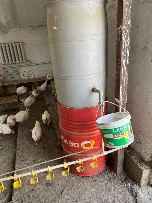 мини фабрика можно  как КХ