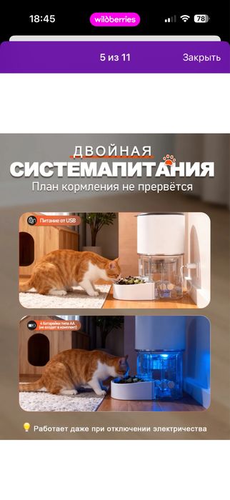 Автокормушка для животных с таймером