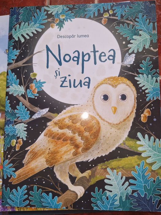 Set  24 carti stare excelenta