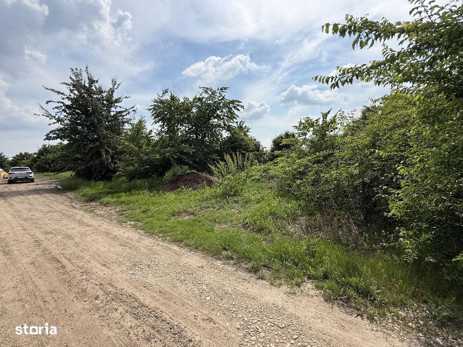 Teren intravilan 498,02 mp langa pădure , strada privata Corbeanca