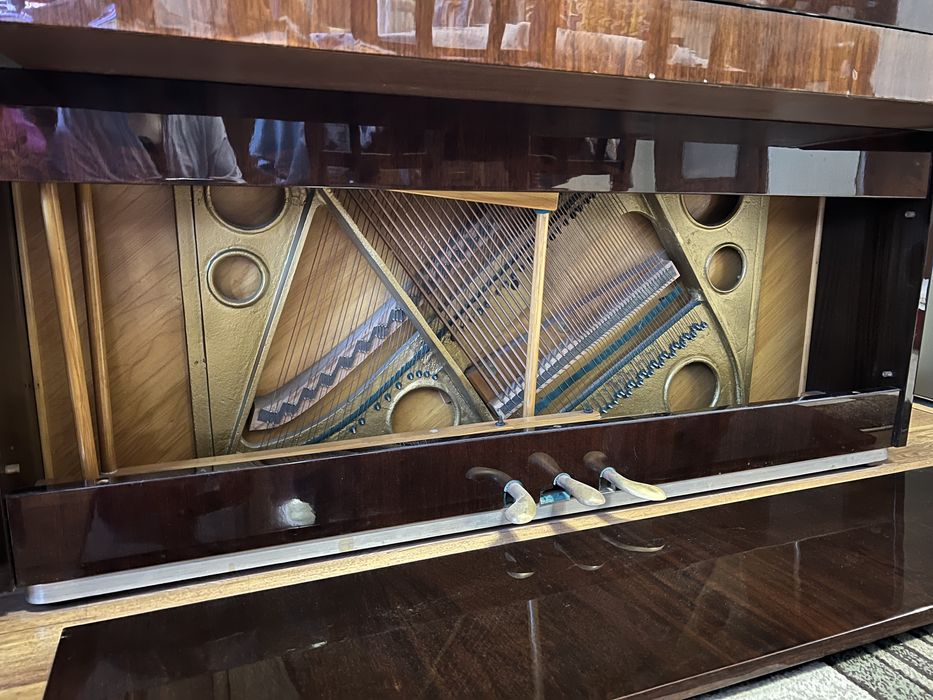 Акустично пиано Etyde, 3 педала