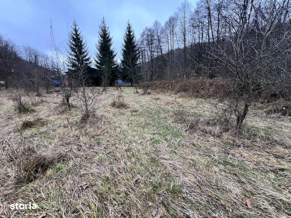 Teren intravilan 6.500 m²–Deschidere 144 ml drum european E81, km 3