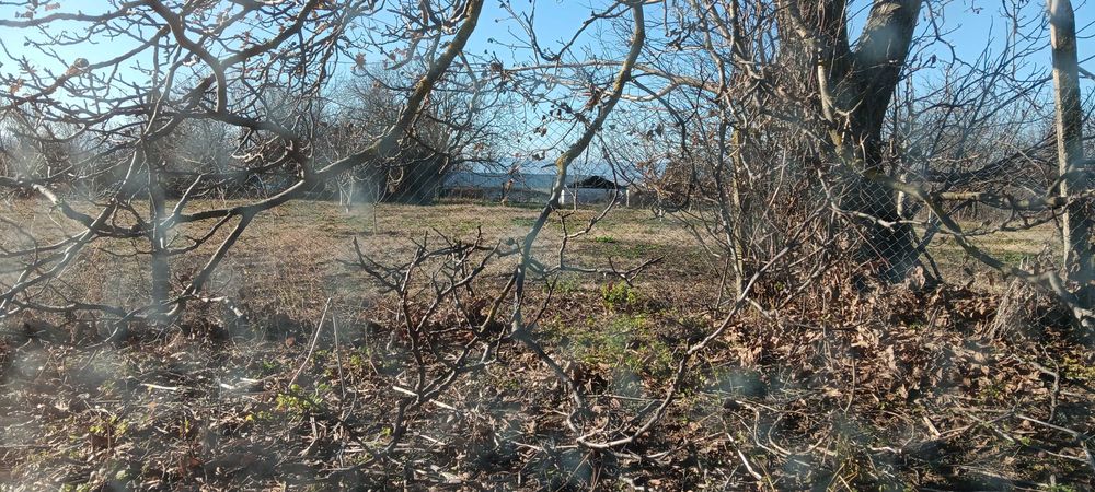 Продава се Земеделски имот в Търговище, Център -  кв.м за 1403 €/дка - Снимка #2