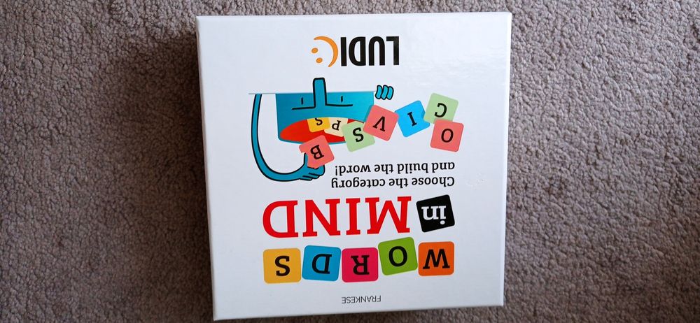 Ludic Words in Mind