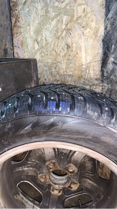 Черепахи мекаб R16