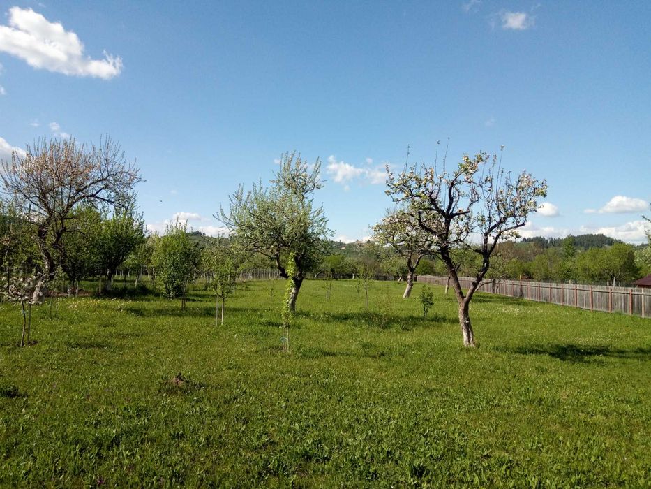 Teren intravilan la munte, in Nereju, Vrancea