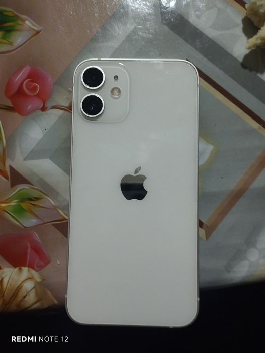 iPhone 12 mini ideal