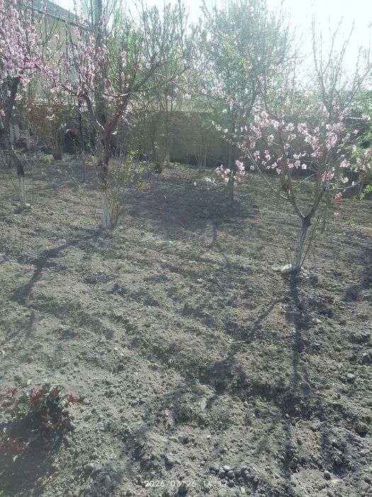 Fargona shaxar Beshbolada 3  so tix er sotiladi