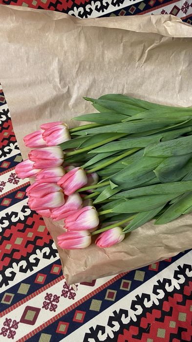 Тюльпаны тельпаны тюлпаны цветы бесплатный доставка