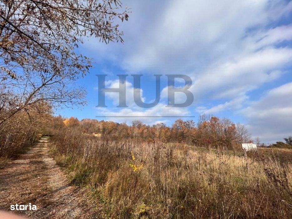Teren 1095Mp -Podis -Dn 2G- Bacau -Moinesti