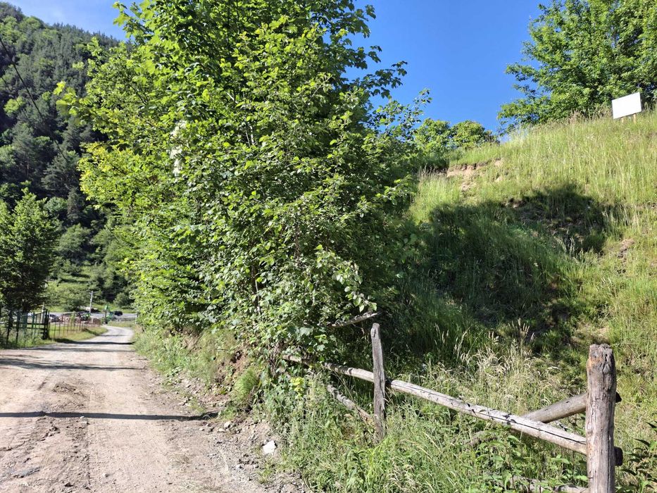 Vînd teren la munte în  Râu Sadului jud.Sibiu intravilan pozitie farte buna