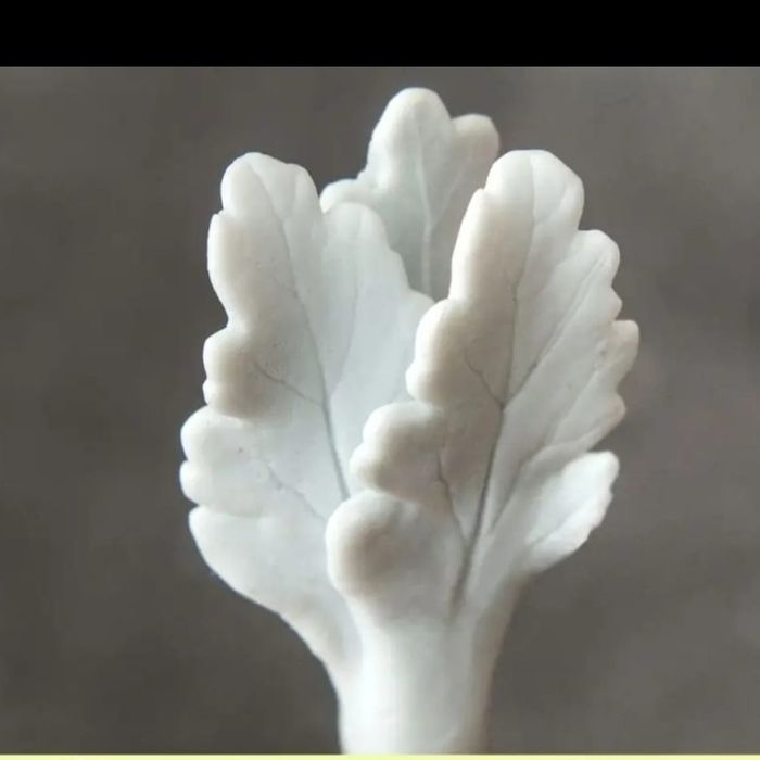 Силиконовые формы Листочки для мыла