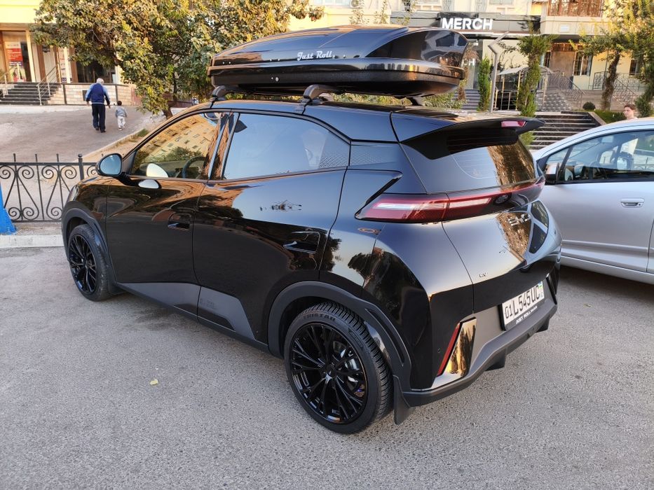 Багажник на крышу. Byd seagull