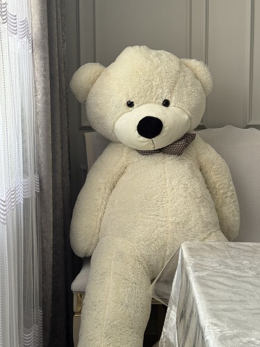 Әппақ аю жап жана бойы 2 метр