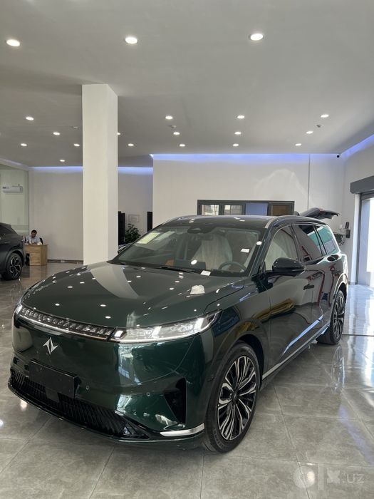 Dongfeng EP008 max +