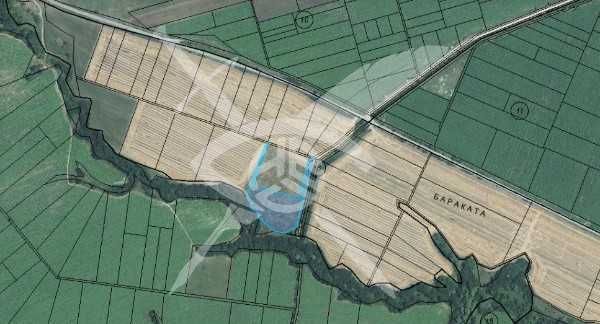 Орехова градина в с.Бата!