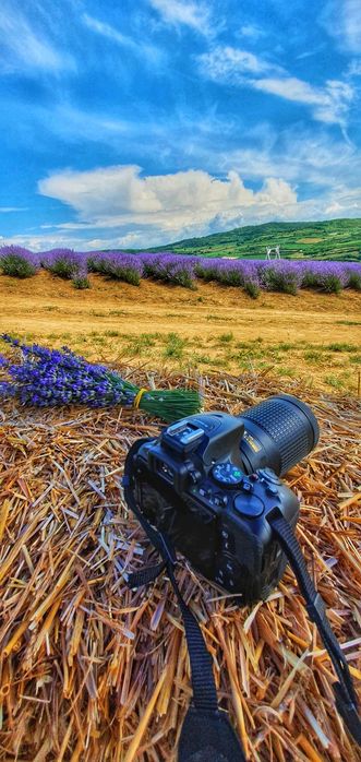 Nikon D5600 + 50mm + 75-300mm + blitz + accesorii – kit complet