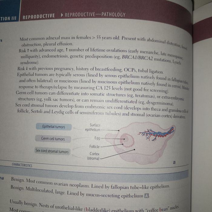 First aid for the usmle step 2026