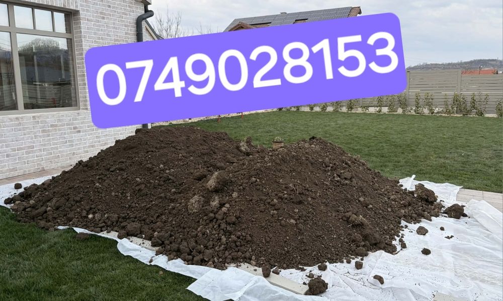 Nisip, sort,piatra,pamant,lemne de foc, material concasat