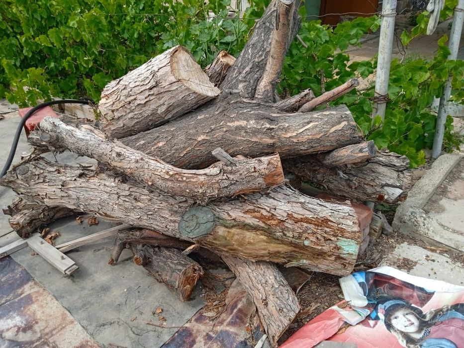 Продаются дрова плодовых деревьев