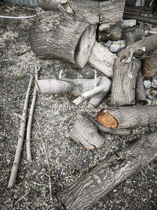 Бесплатно. Отдам дрова. Самовывоз.