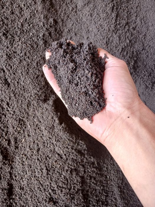 Sifatli biogumus oʻğiti sotiladi