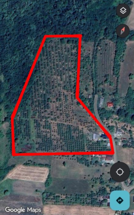 DE VÂNZARE – Casă cu teren și livadă în Săliște, comuna Băsești