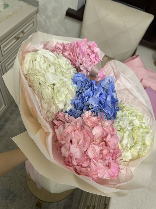 свежий только что пришел