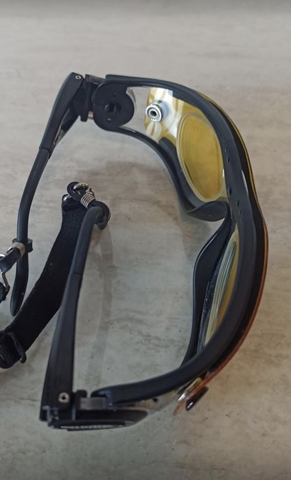 Alpina Pro Sport Optic Swing 40