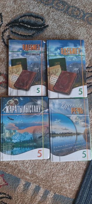 Учебники в хорошем состоянии.