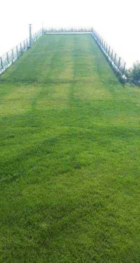 Gazon Verde Dens – Amenajare Sol și Irigare Automată