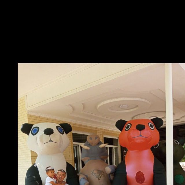 Ayiq polvon sotiladi