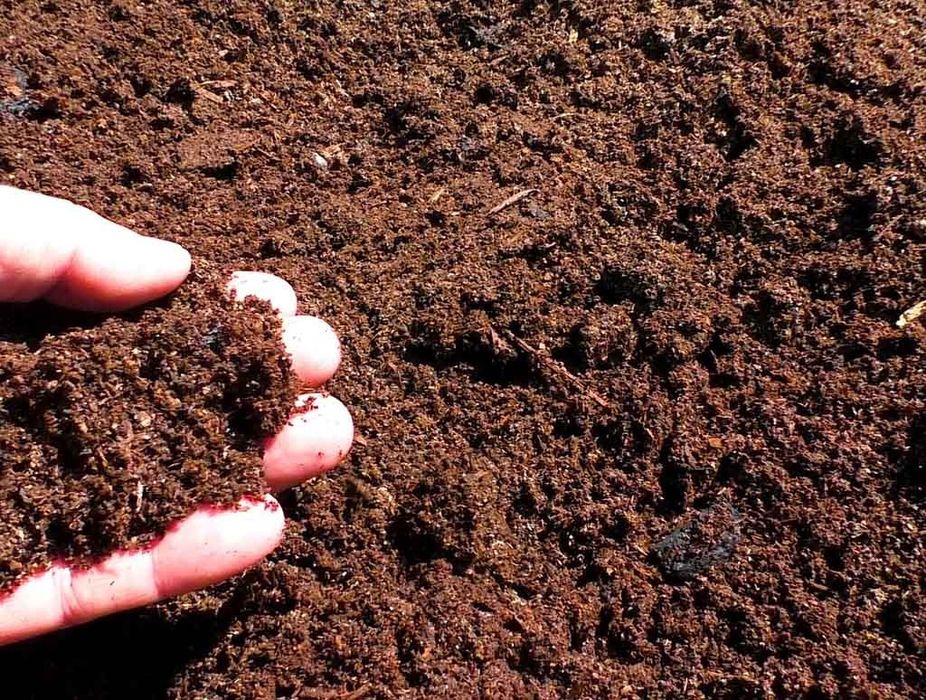 Качественный перегной. Полная машина.