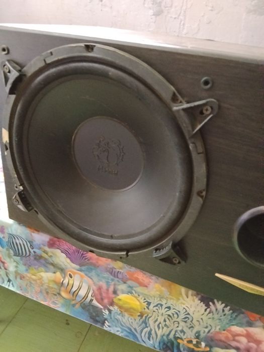 Subwoofer pasiv 30cm