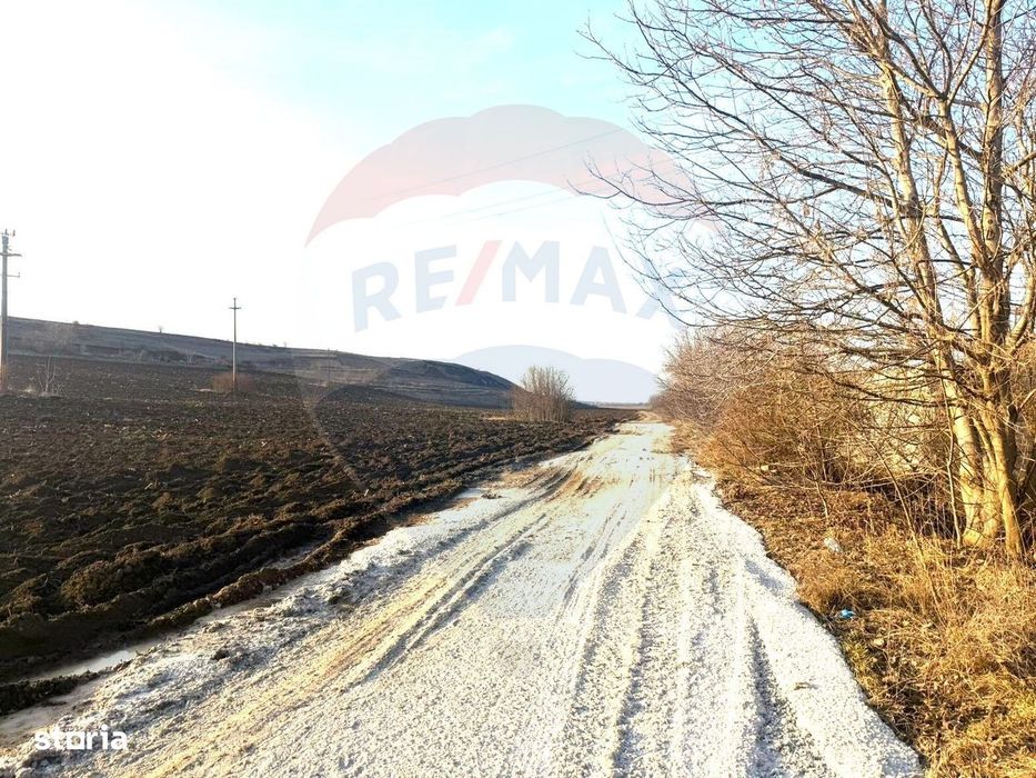 Teren 4.956mp Letea Veche / Calea BARLADULUI