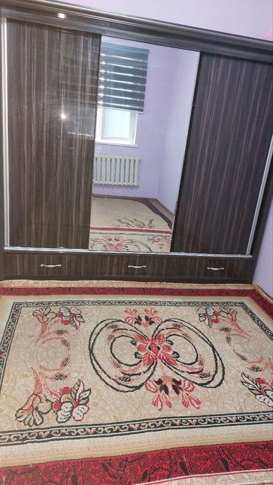 Тезда 11 палекиникада ижарага берилади